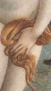 Sandro Botticelli The Birth of Venus (mk36) Sweden oil painting reproduction